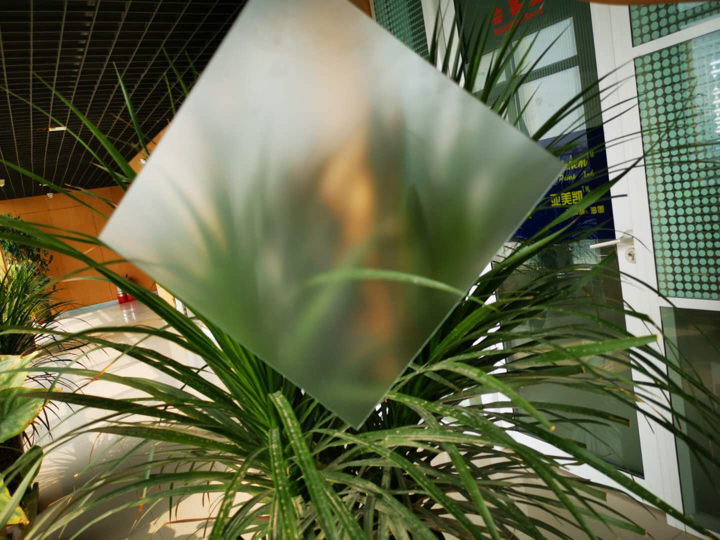 肌肤砂hth官方网页入口